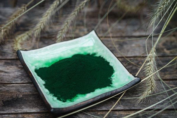 Spirulina: Über die Wirkung der wundersamen Algen